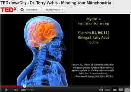 Why Organic Food is Cheaper than Fast Food: Hunter-Gatherers, Mitochondria and Dr. Terry Wahls