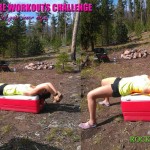 Move: ROCK CRUSHERS
 Lie down on your cooler, supporting your neck. Grab a large stone with both hands. Start with your arms straight, 45 degrees over head and slowly bend your elbows, lowering the rock toward the top of your head.
 Form: Focus on trying to melt your low back into the cooler. Keep your elbows drawn in! 
*Don't actually crush your skull! ;)